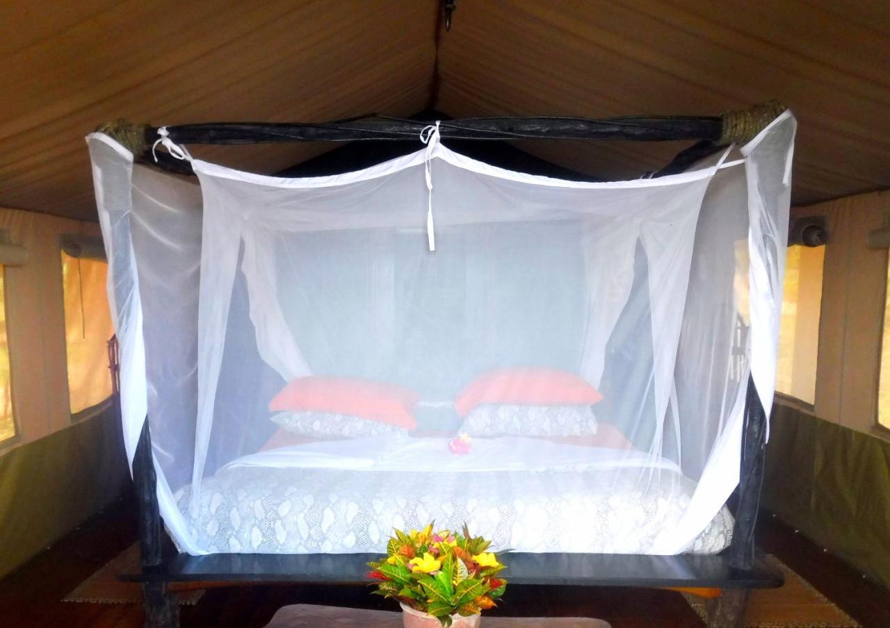 Shimba Hills Green Safari Lodge Kwale Buitenkant foto